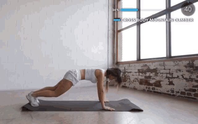 Mountain climbing exercise Mountain climbing exercise